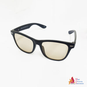 MGI IONSPEC GS09 SUNGLASSES (Brown)